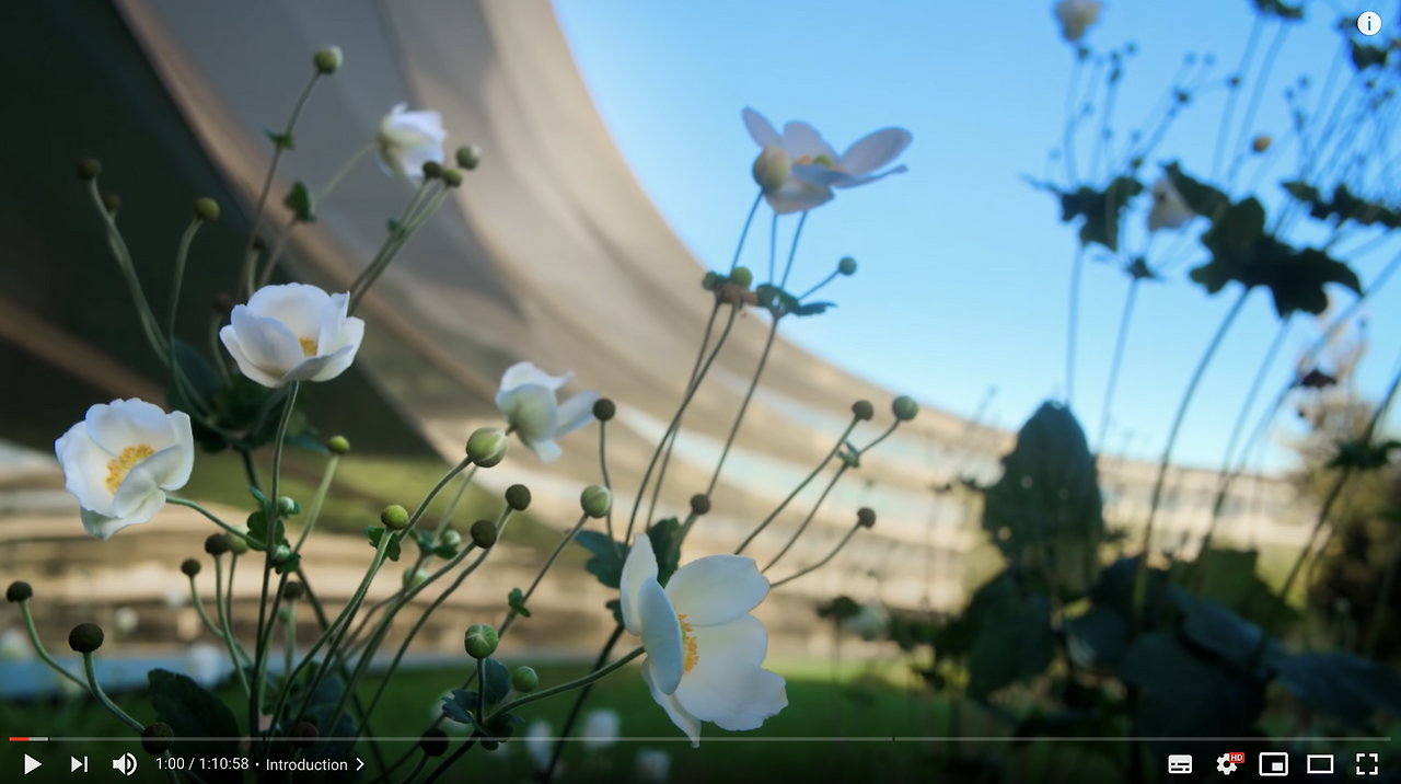 Screen Shot 2020-11-20 at 9.09.25 PM.png