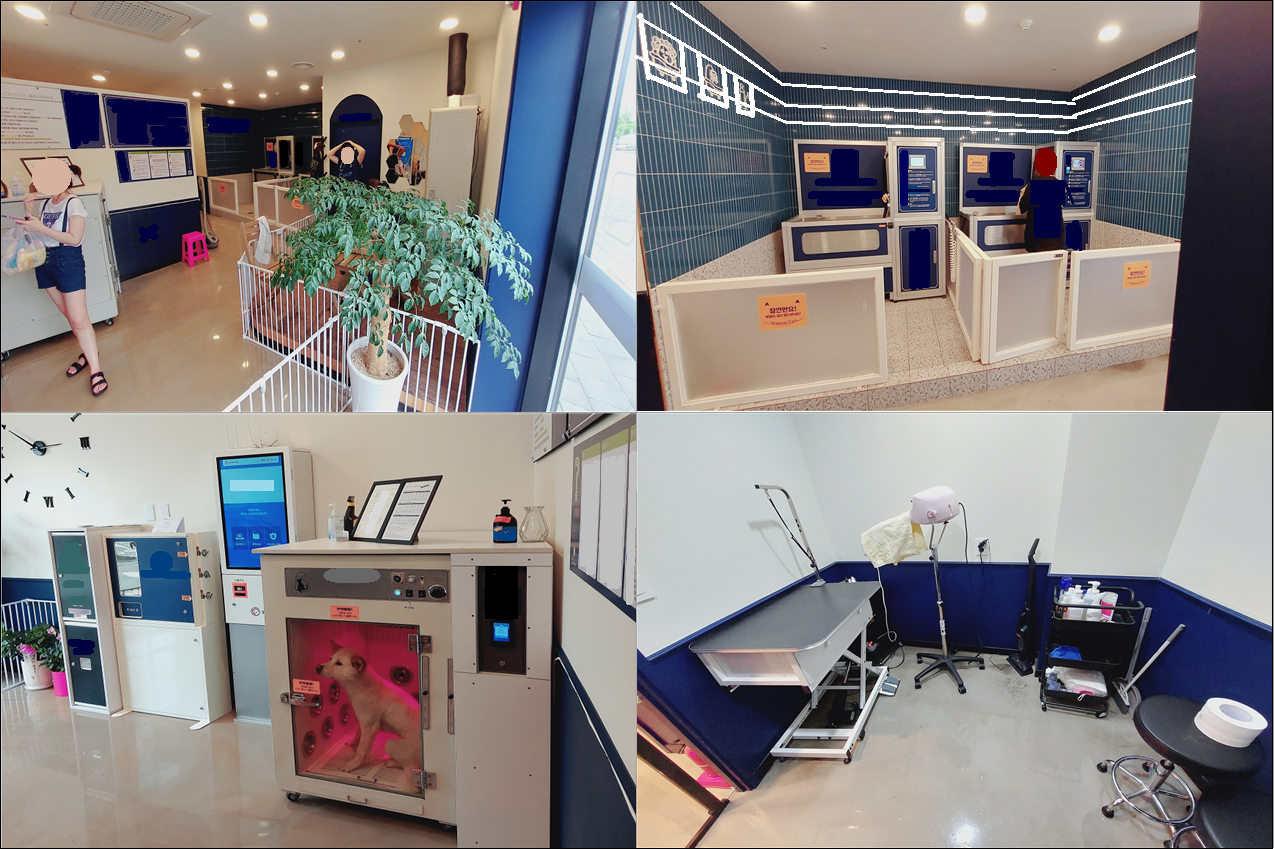 rename_애견 셀프 목욕방 내부 전경 사진.png