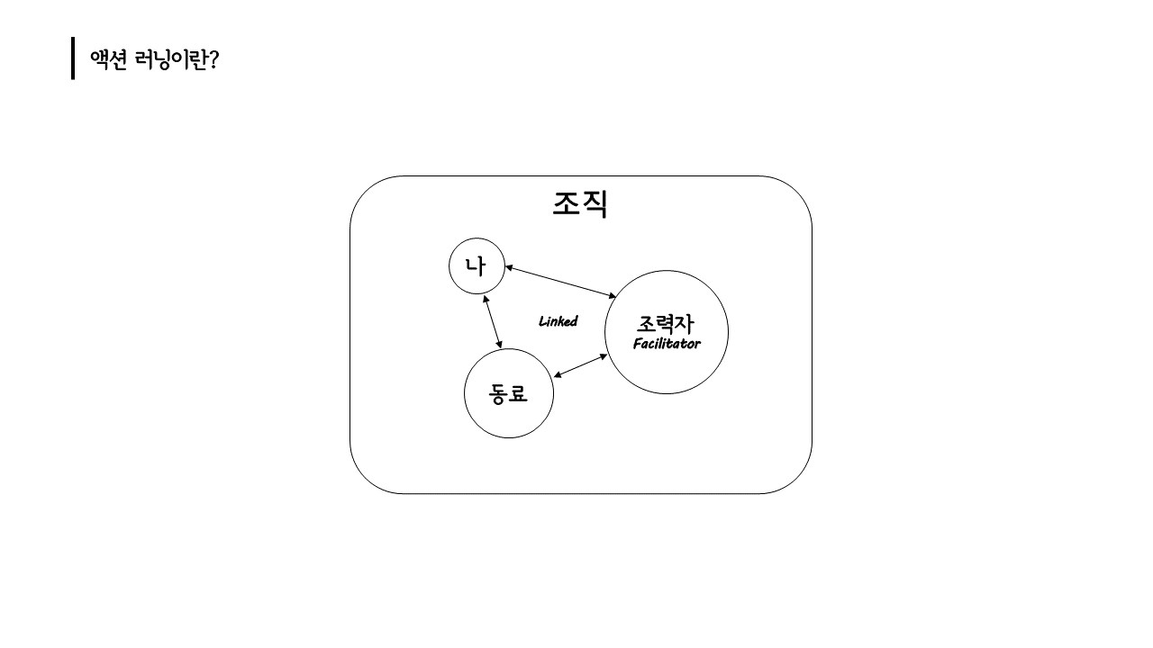 액션러닝.png
