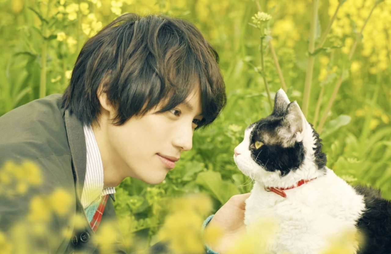 스크린샷 2019-04-18 오후 12.53.13.png