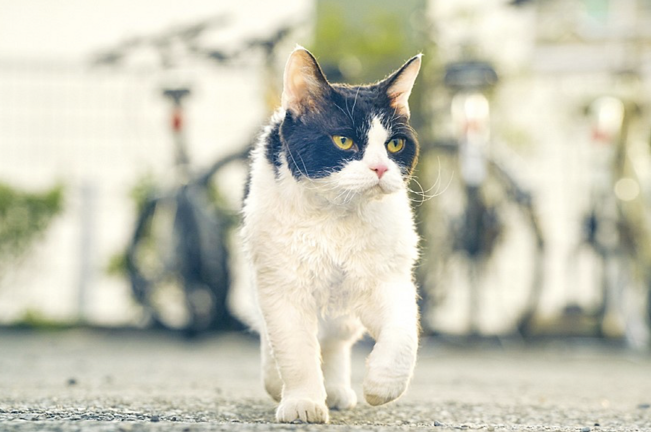 스크린샷 2019-04-18 오후 12.56.00.png