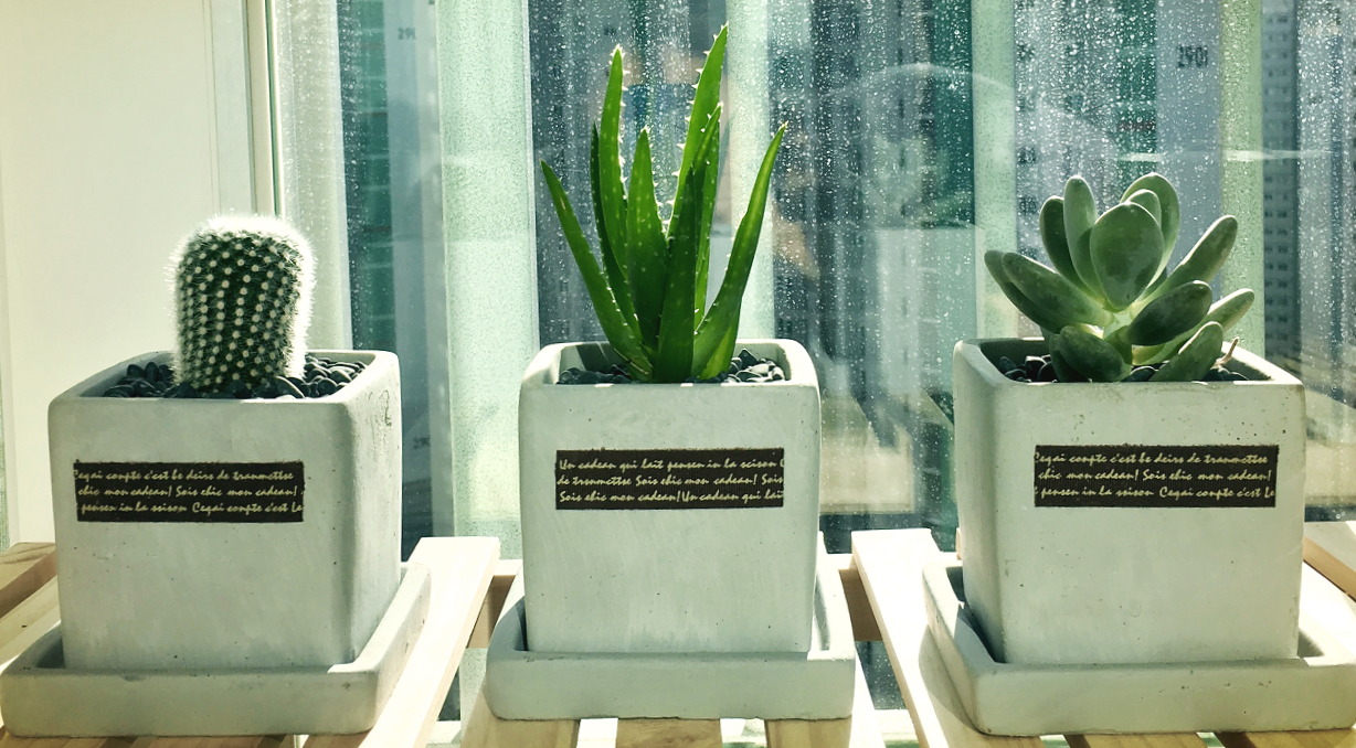 스크린샷 2019-05-14 오후 4.07.12.png