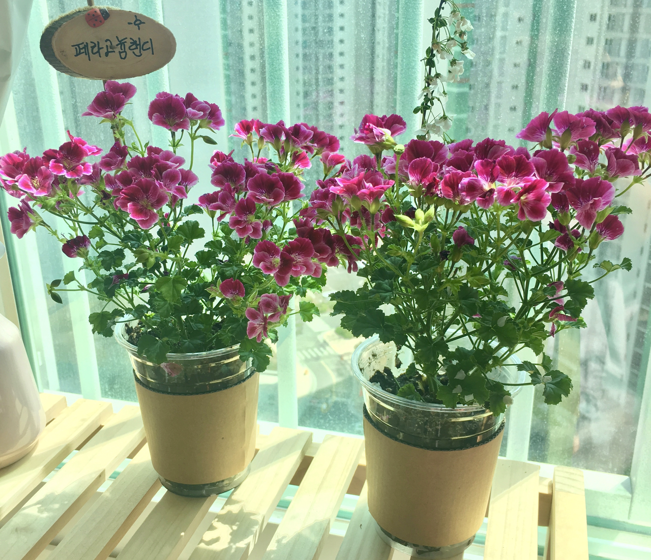 스크린샷 2019-05-14 오후 4.03.39.png