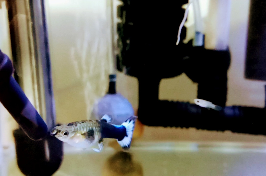 0107 환수의 노예.png