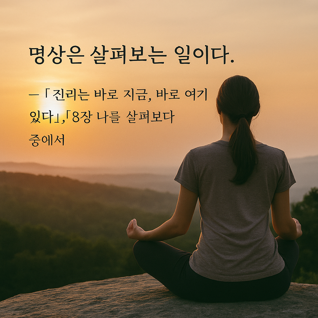 명상은 살펴보는 일이다..png