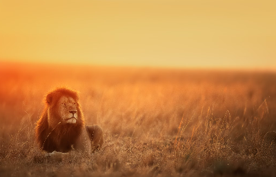 2025-02-16 17 26 07.png