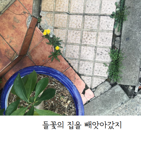 문서 04-19 222743_0004.png