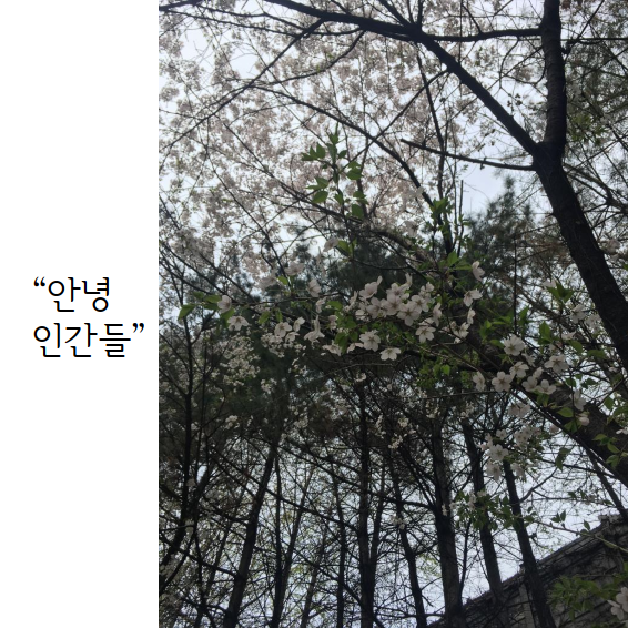 문서 04-19 222743_0002.png