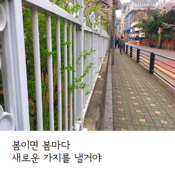 문서 04-19 222743_0011.png