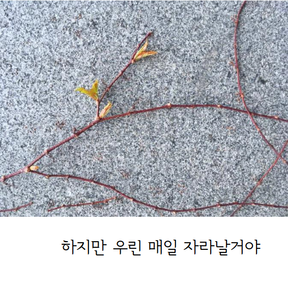 문서 04-19 222743_0010.png