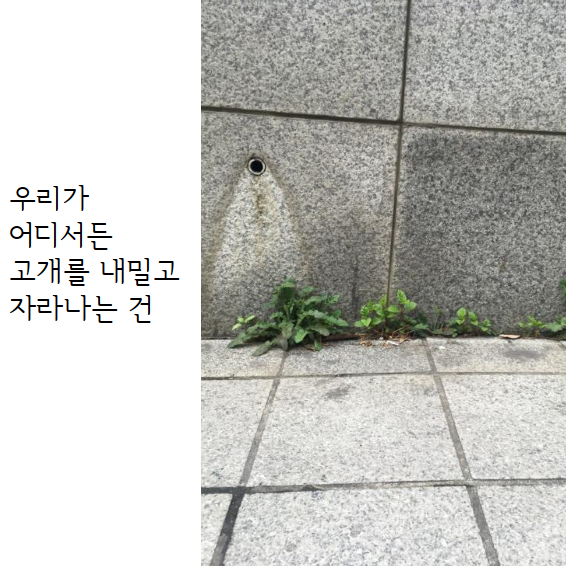 문서 04-19 222743_0013.png