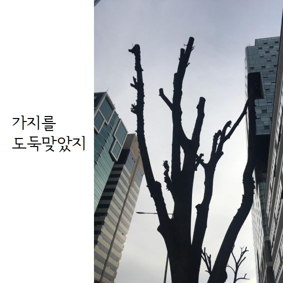 문서 04-19 222743_0008.png