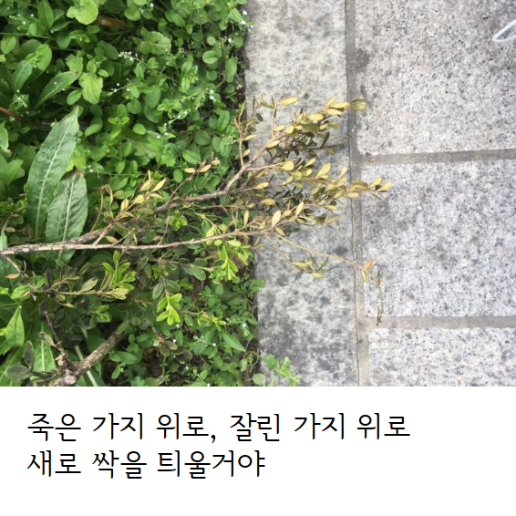 문서 04-19 222743_0012.png