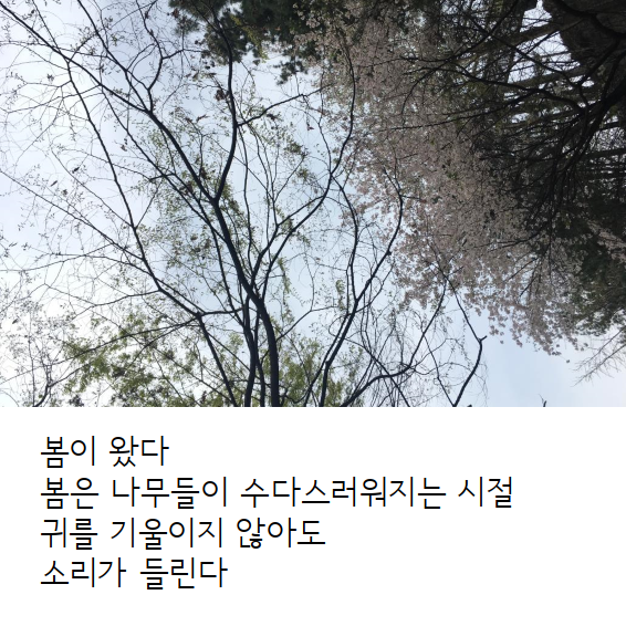 문서 04-19 222743_0001.png