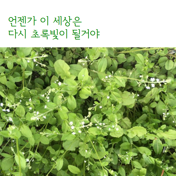 문서 04-19 222743_0017.png