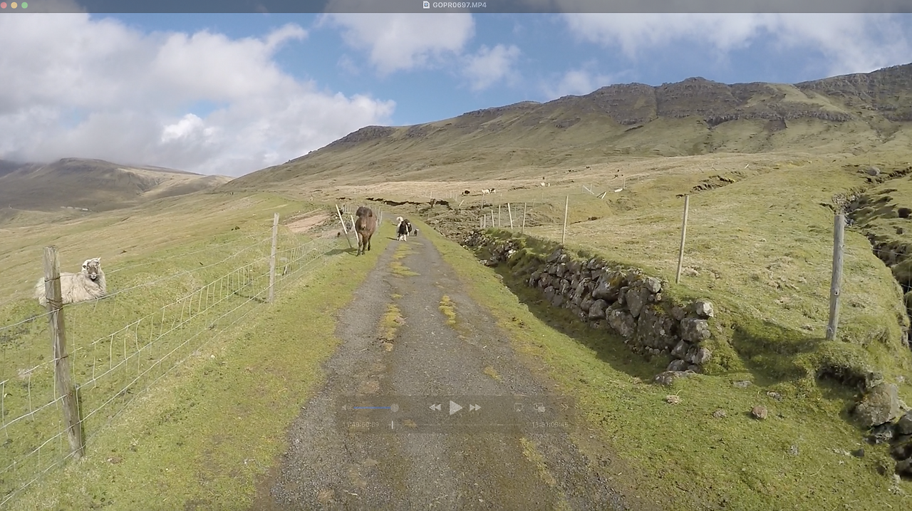 스크린샷 2024-11-27 오후 3.57.39.png