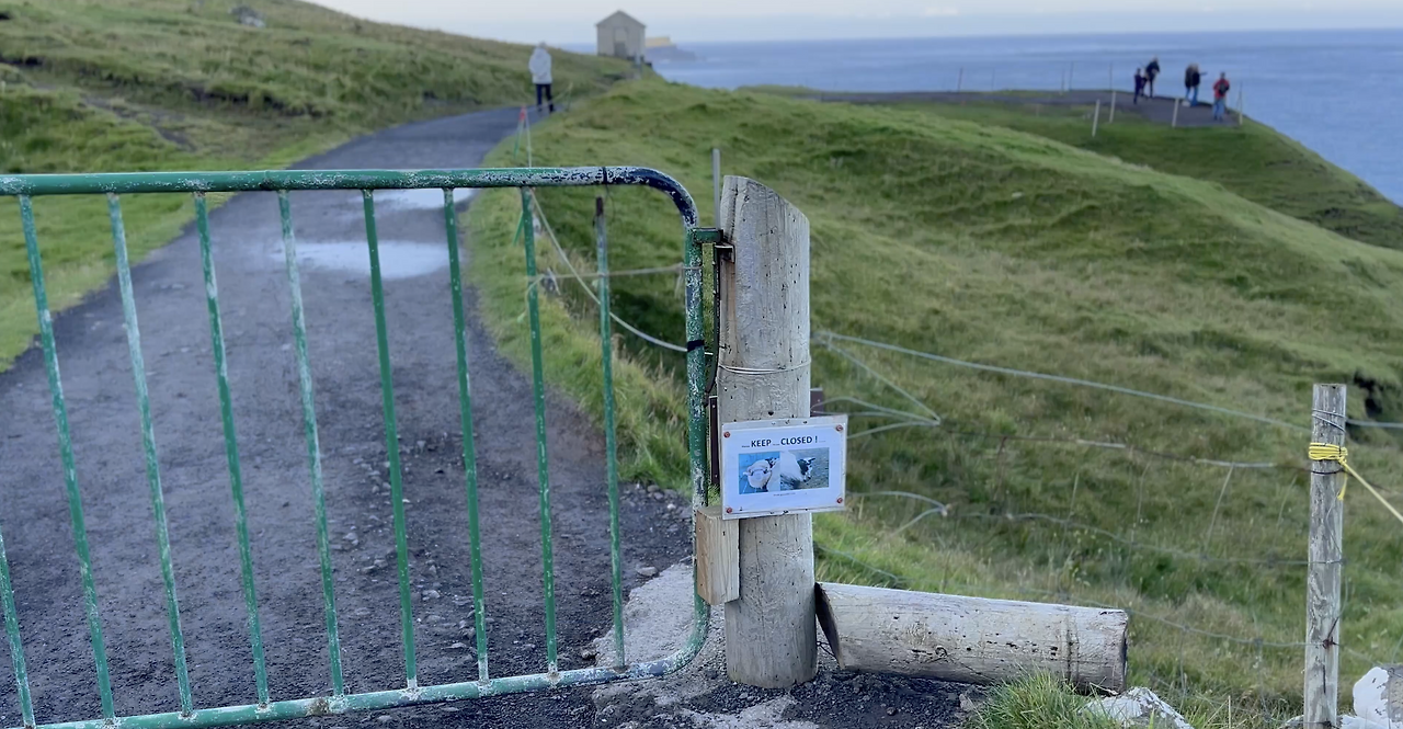 스크린샷 2024-12-24 오후 5.33.45.png