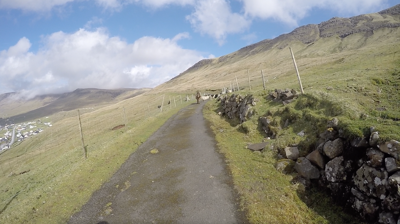 스크린샷 2024-11-27 오후 3.58.31.png