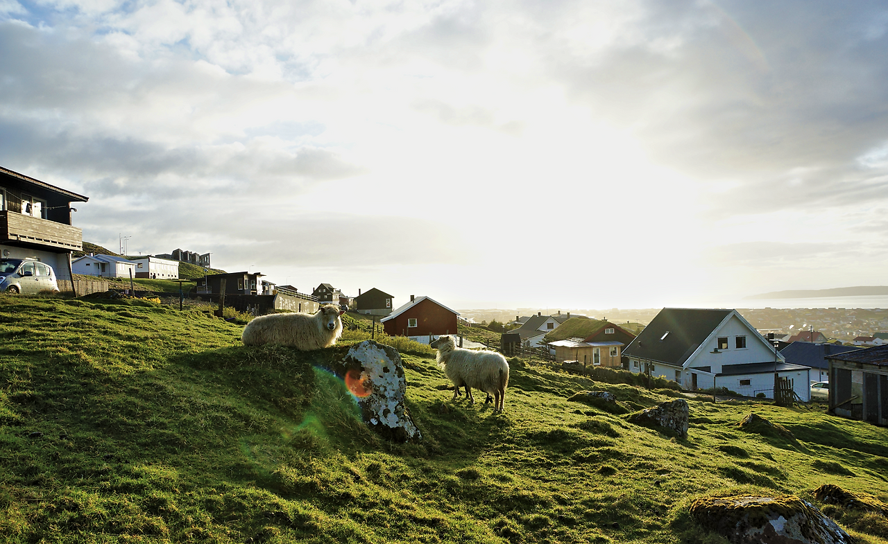 스크린샷 2024-09-27 오전 4.18.36.png