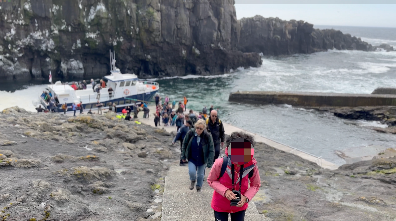 스크린샷 2024-12-16 오후 3.07.07.png