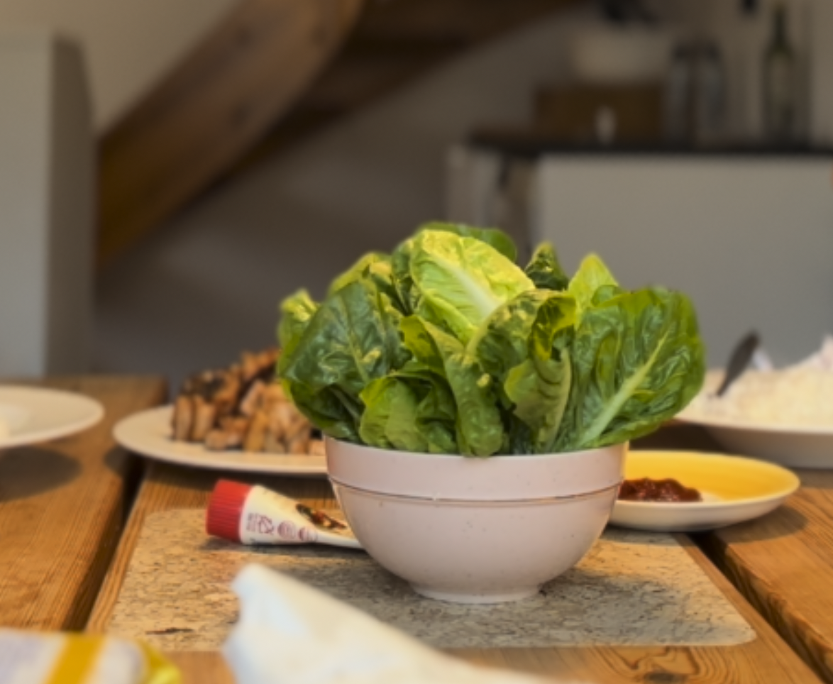 스크린샷 2024-09-14 오전 6.21.41.png