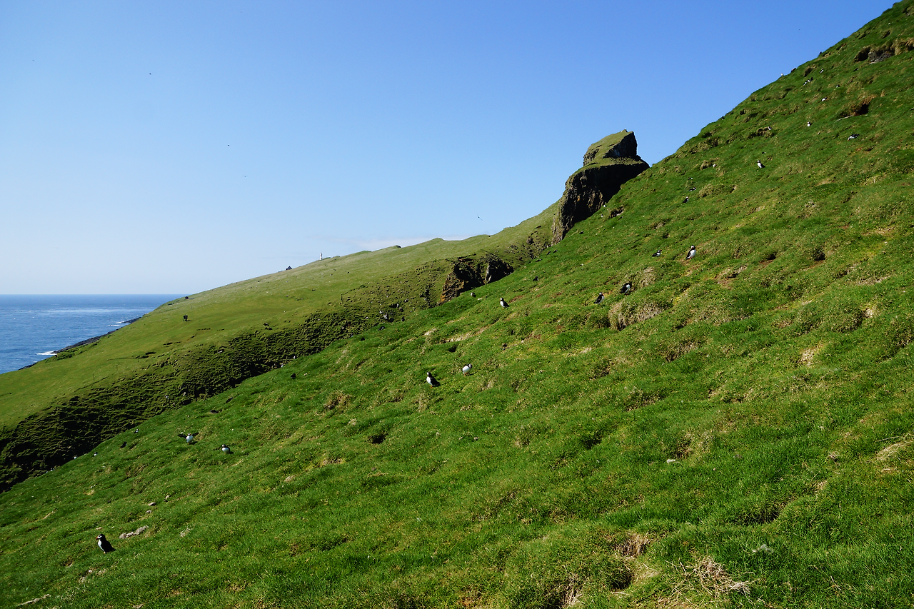 스크린샷 2024-12-16 오후 4.08.00.png