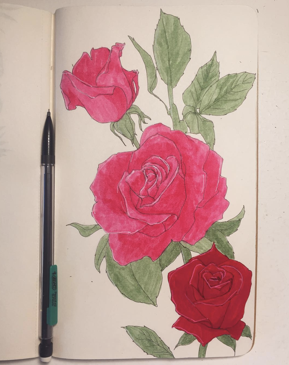 Screen Shot 2019-01-21 at 1.29.01 PM.png