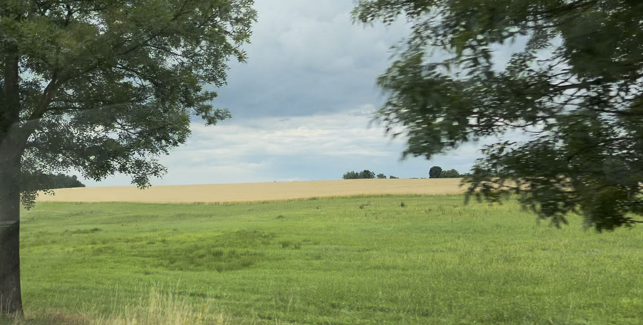 Screenshot 2025-07-17 at 9.27.36 PM.png