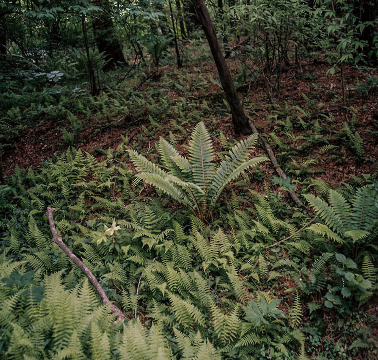 스크린샷 2025-07-02 오후 1.36.18.png