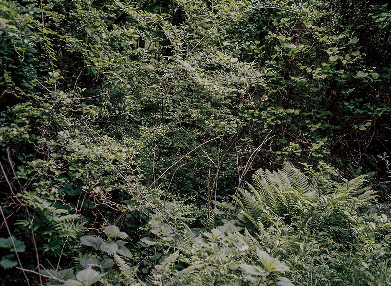 스크린샷 2025-07-02 오후 1.35.34.png