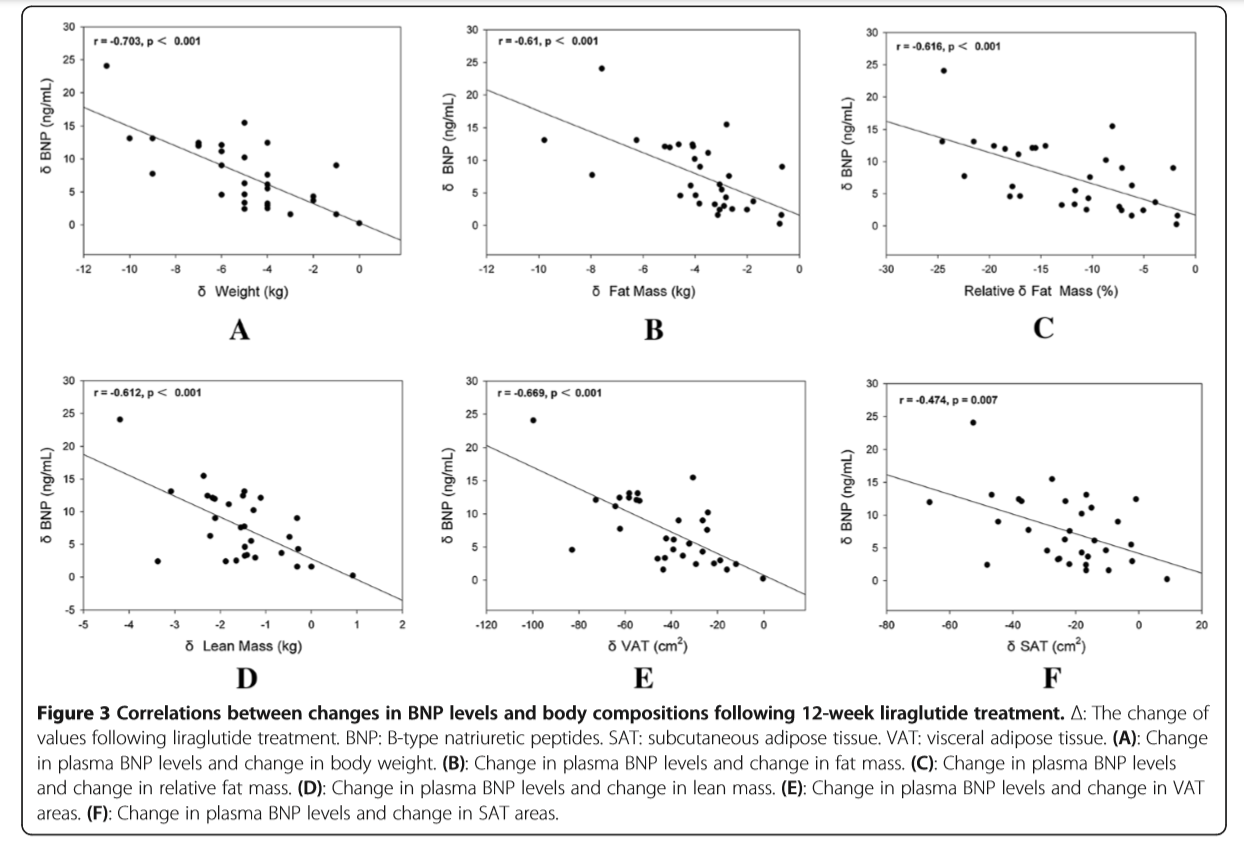 삭센다_체중및지방감량_BNP상관관계.png