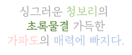 보리뵈보리.png