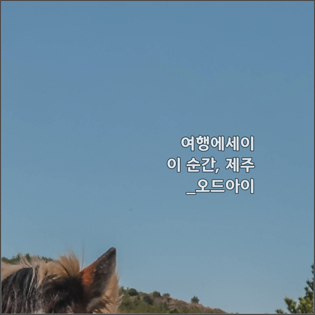이순간제주.png
