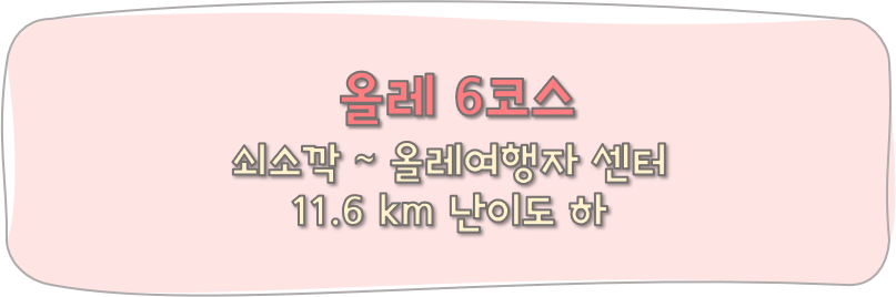올레6코스text.png
