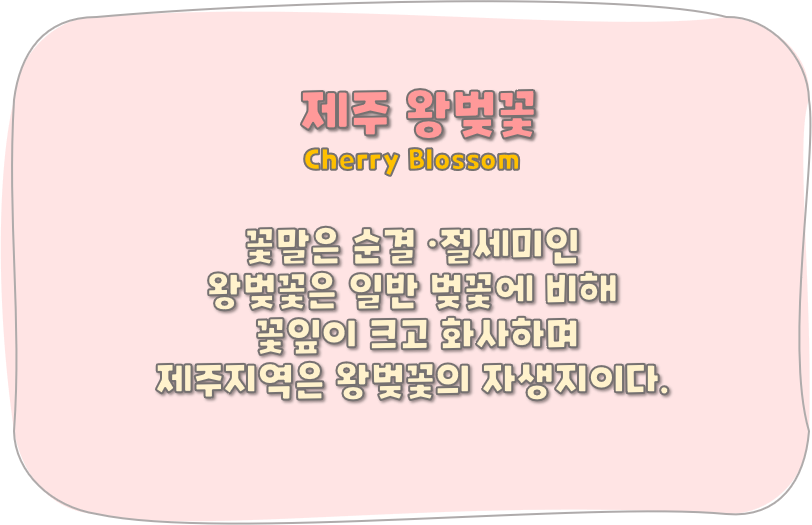 벚꽃test.png