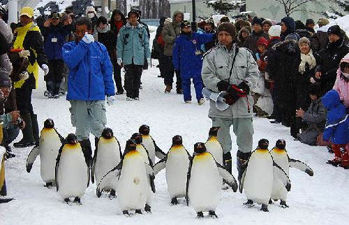 스크린샷 2017-08-08 오후 10.19.57.png