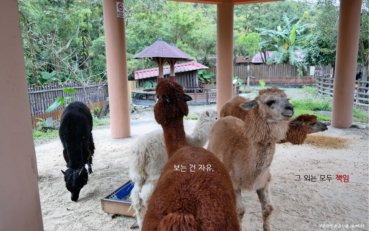 보는 건 자유, 그 외는 모두 책임(o).png