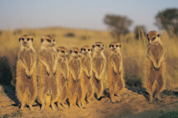 화면 캡처 2022-06-20 112850.png