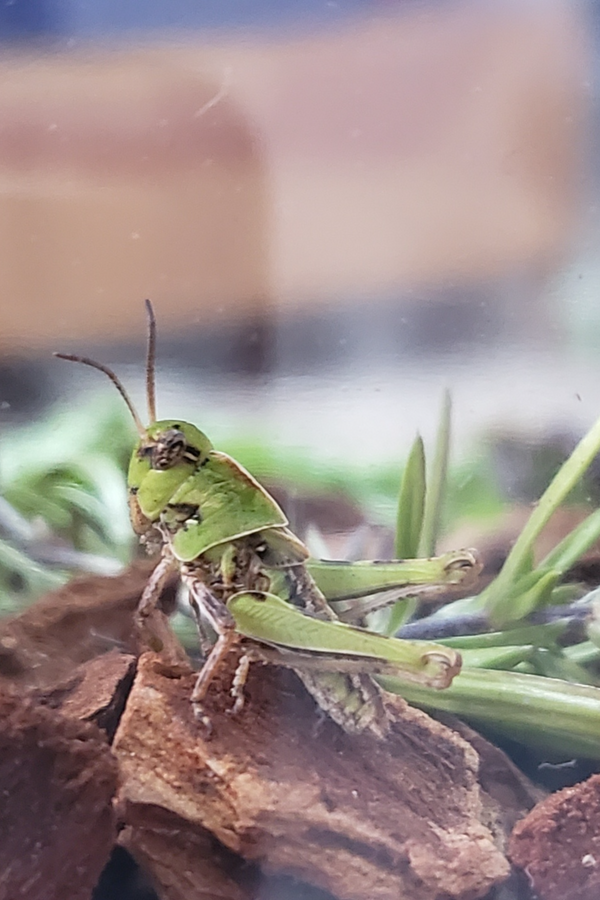 제목을 입력하세요 7.png