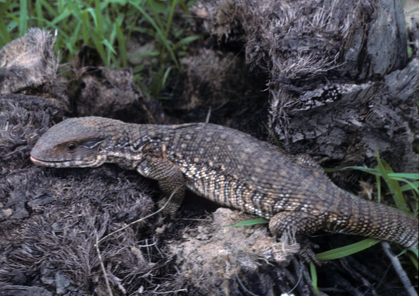 제목을 입력하세요 1.png