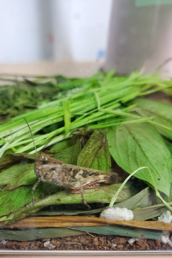 제목을 입력하세요 6.png