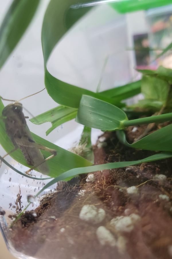 제목을 입력하세요 9.png