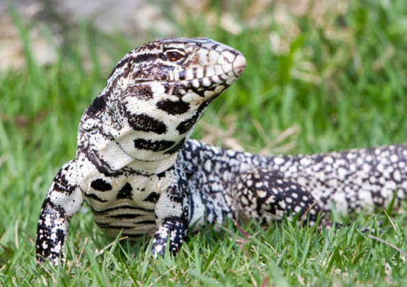 제목을 입력하세요 2.png