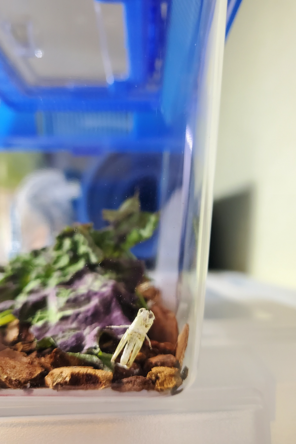 제목을 입력하세요 8.png