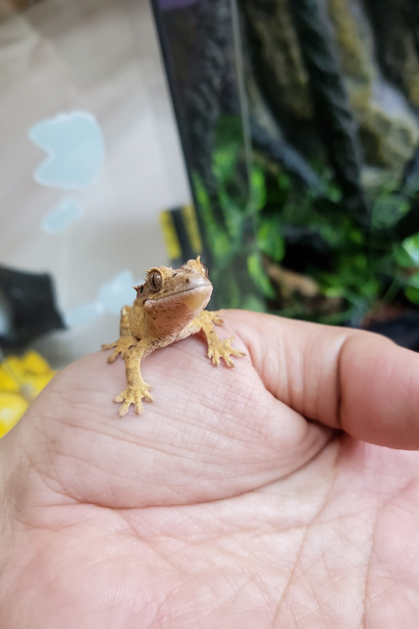 제목을 입력하세요 1.png