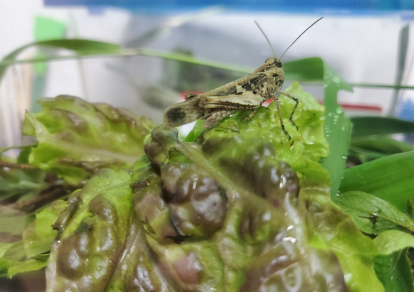 제목을 입력하세요 4.png