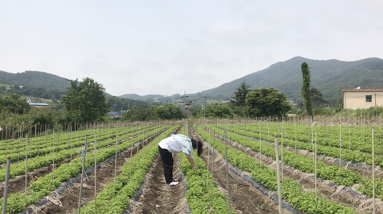 Screen Shot 2020-12-23 at 2.31.17 PM.png