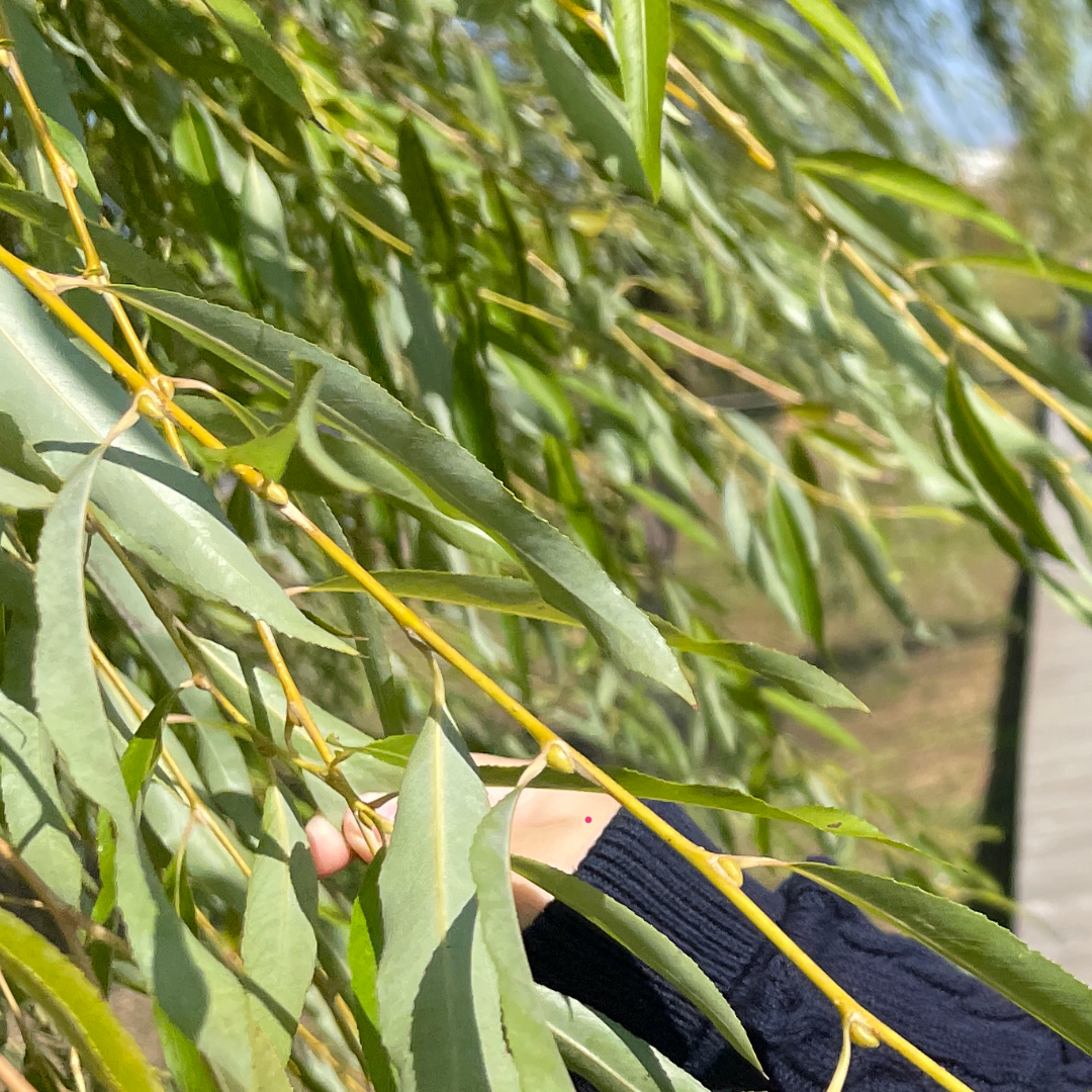 230511_인스타_차와닮은삶 업로드 (2).png