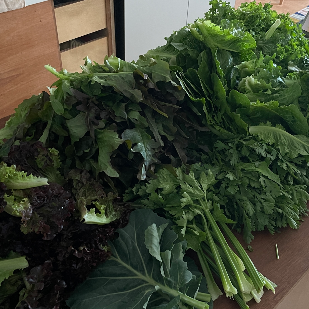 230518_차와닮은 삶-3.png