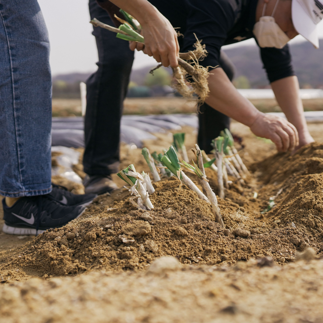 230518_차와닮은 삶-2.png